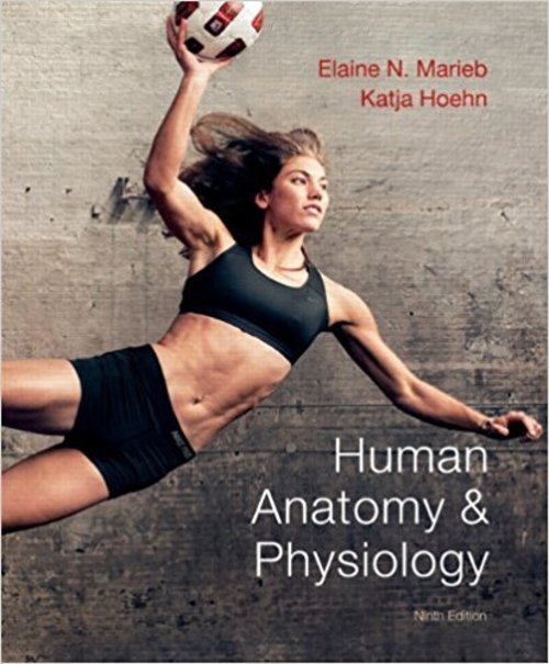 Product picture Human Anatomy & Physiology 9th Edition Marieb e-Book